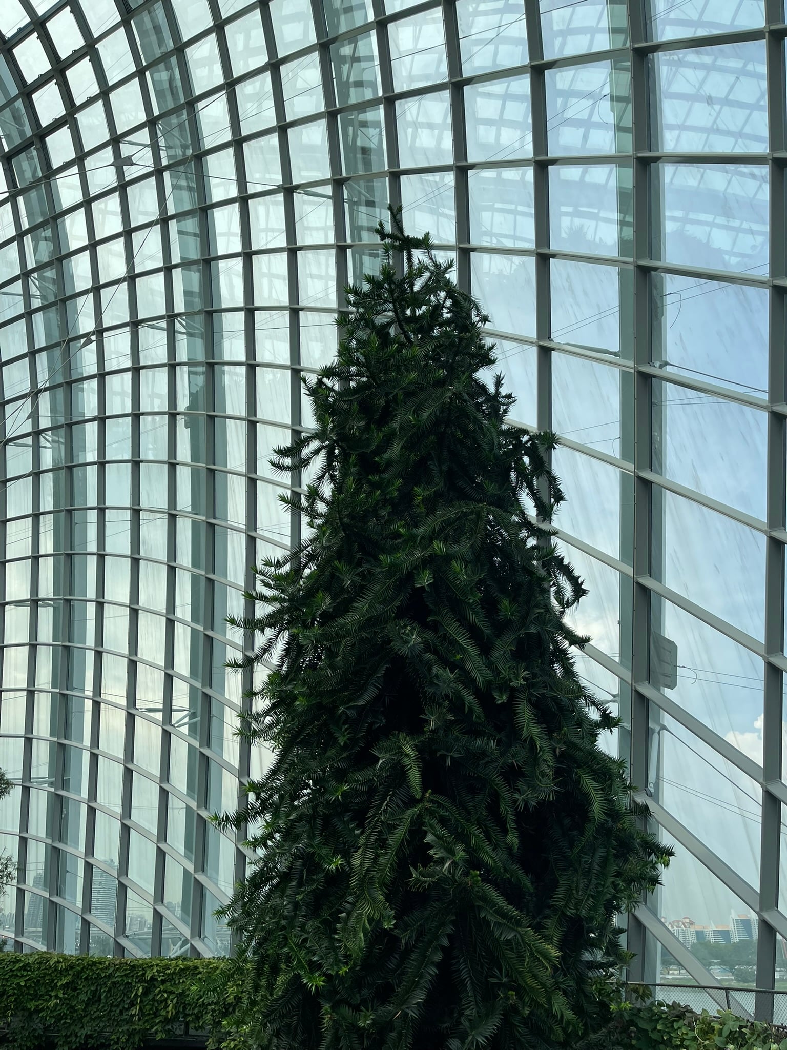 Cloud Forest waterfall