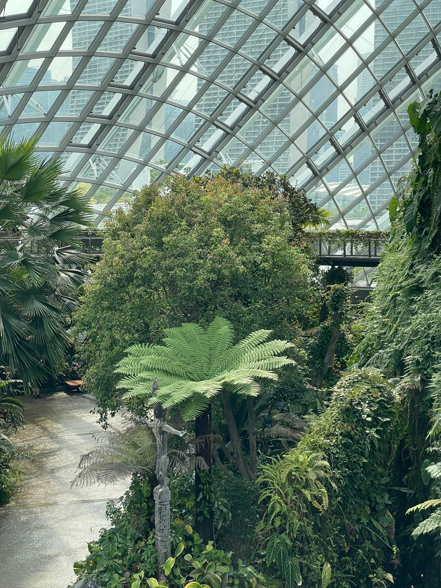 Cloud Forest walkway